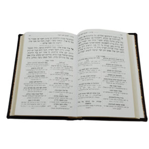 SELICHOS LEHAVANAH LARGE (Yiddish) 6" x 9"