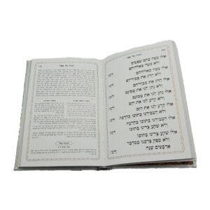 HAGGADAH SHEL PESACH LARGE (Yiddish) 6.5" x 9.5"