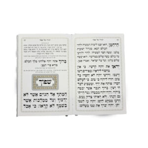 HAGADAH SHEL PESACH LARGE FONT