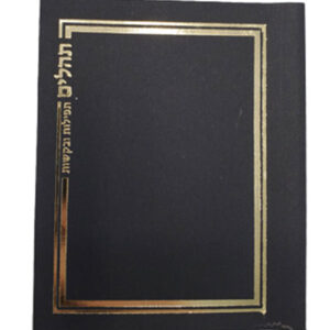 TEHILLIM TEFILOS UBAKUSHOS SMALL (pocket size)